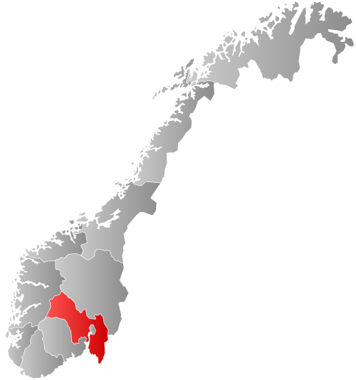 Viken (county)